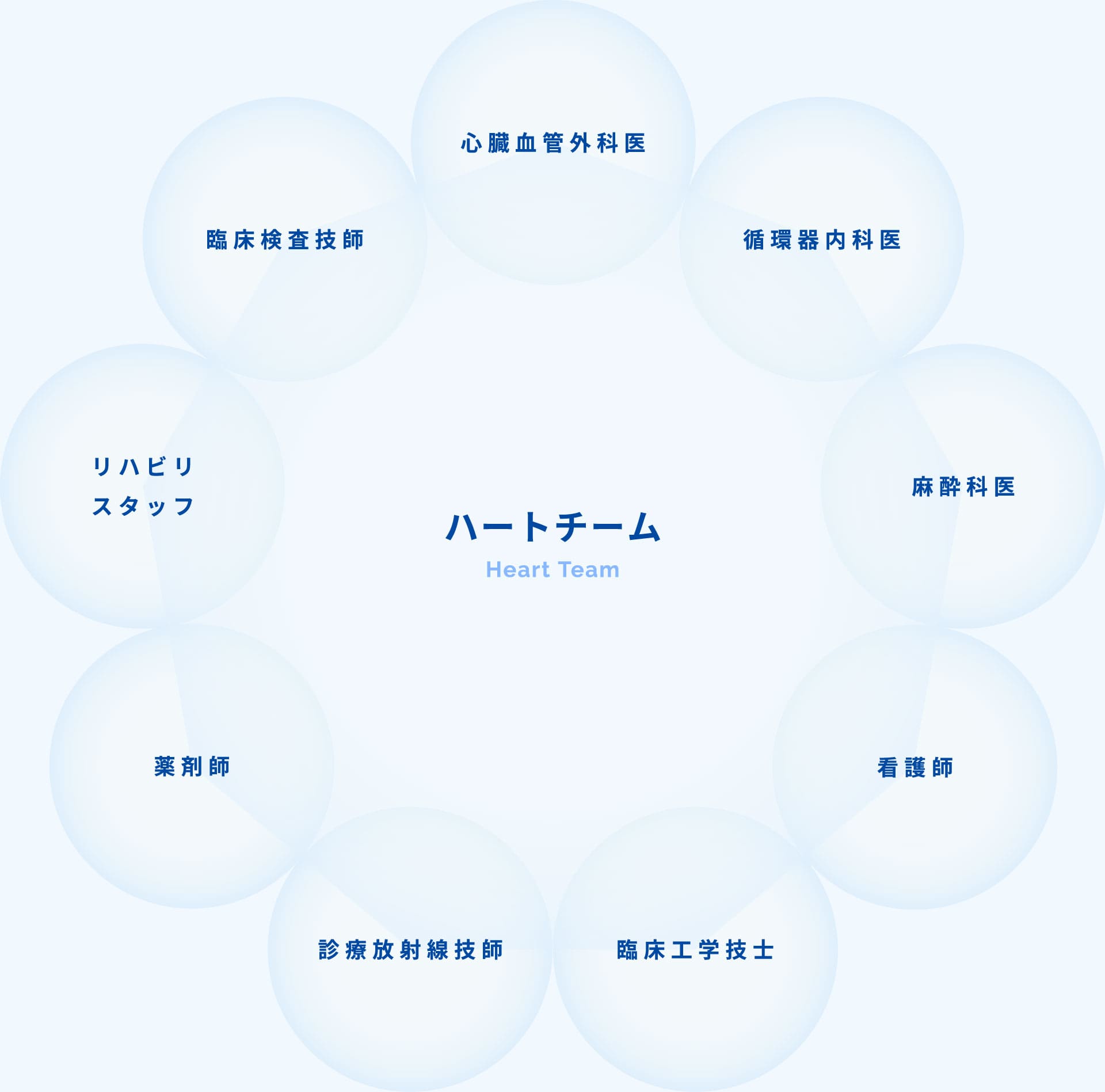 長野中央病院のTAVI「ハートチーム」