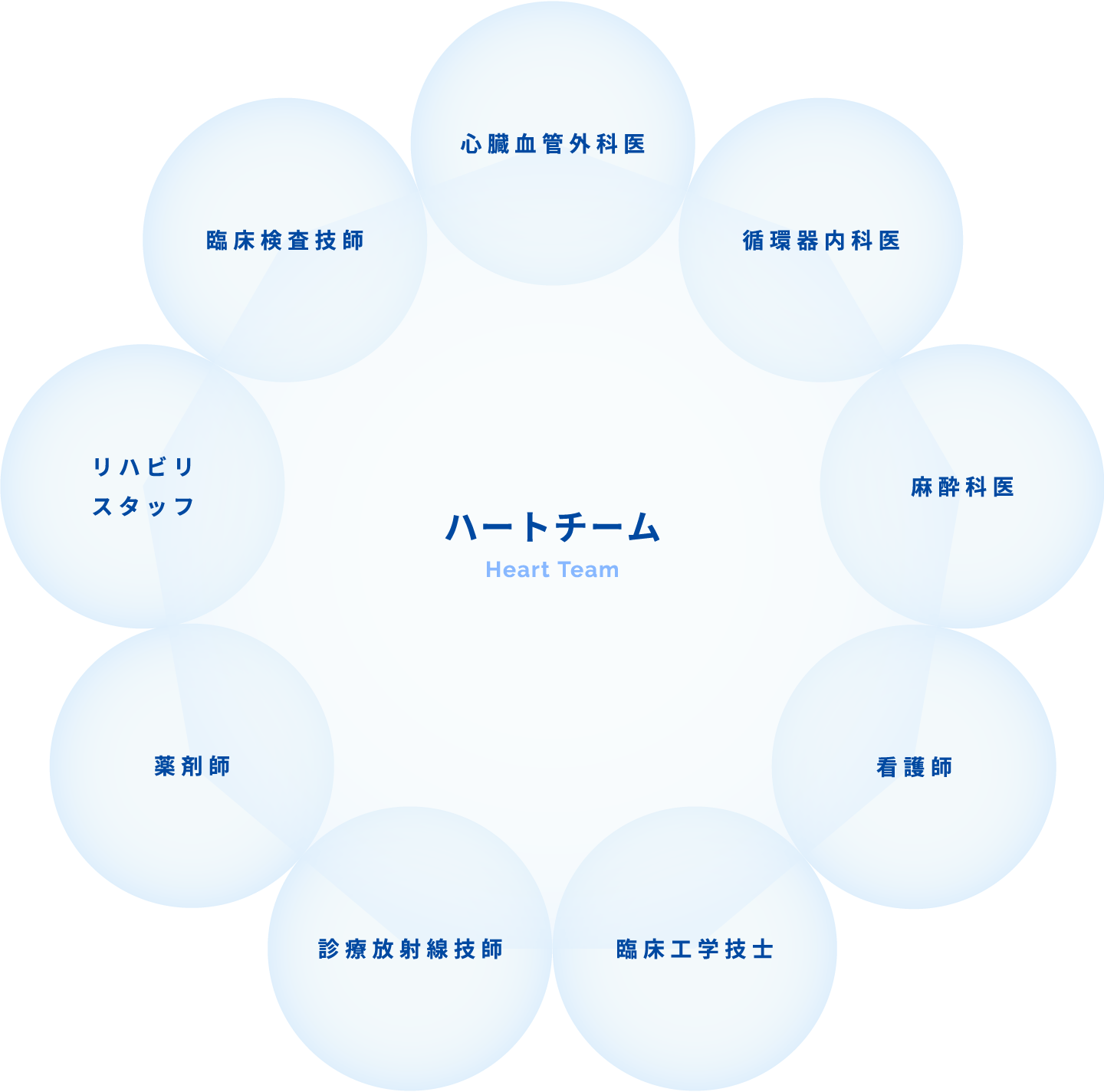 長野中央病院のTAVI「ハートチーム」心臓血管外科医、循環器内科医、麻酔科医、看護師、臨床工学技士、診療放射線技師、薬剤師、リハビリスタッフ、臨床検査技師