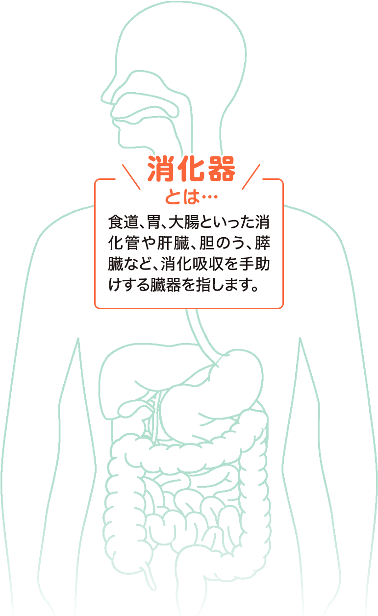 消化器とは