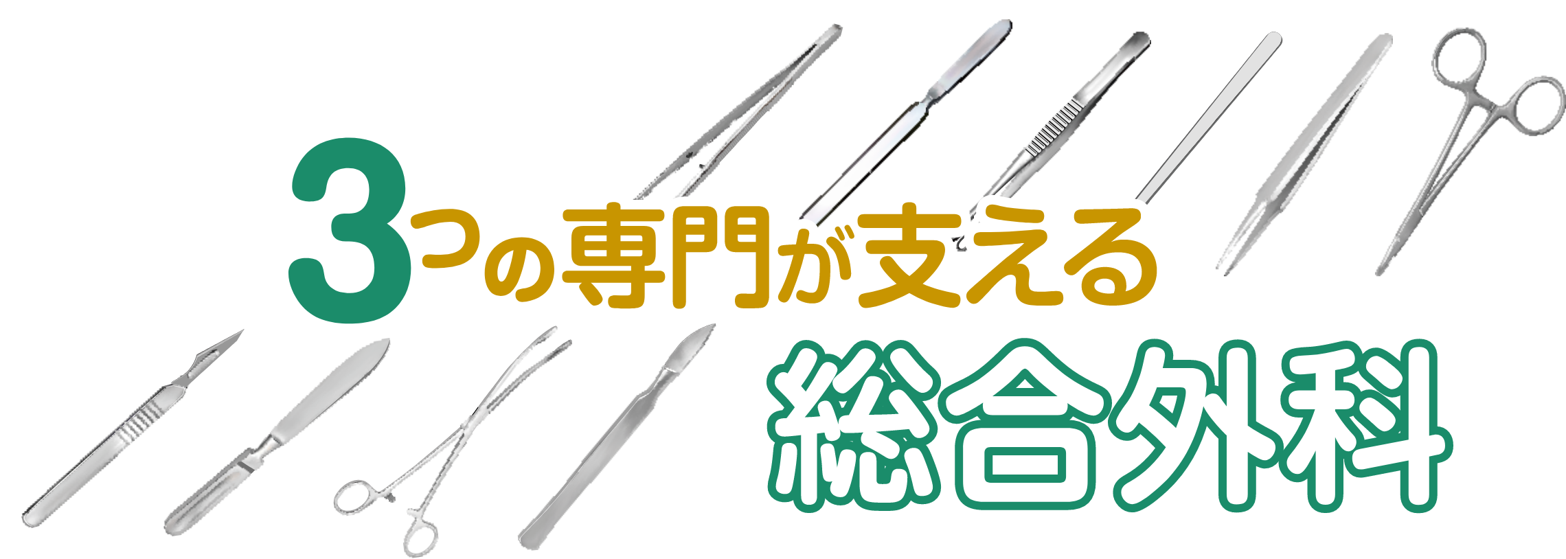 3つの専門が支える総合外科
